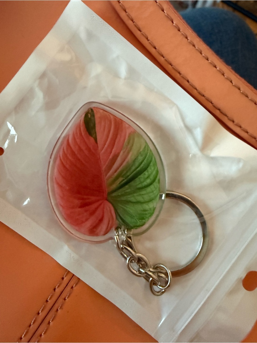 Variegated Anthurium Heart Leaf Acrylic Keychain - Pink & Green - Silver - NEW! - Picture 3 of 3